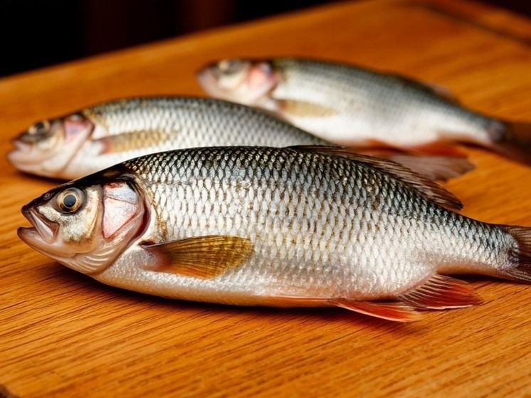 �����: ���� ������� ��� ������ ��������?