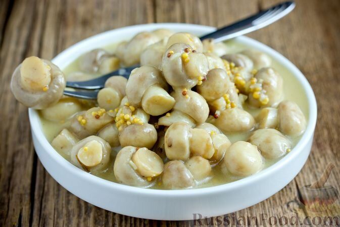 ����������: ����� ��������� ���������