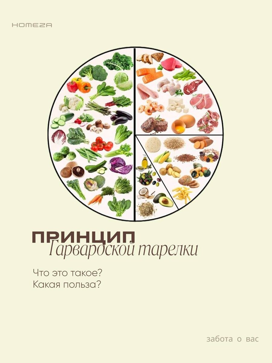 Гарвардская тарелка как простой ключ к здоровому питанию на каждый день