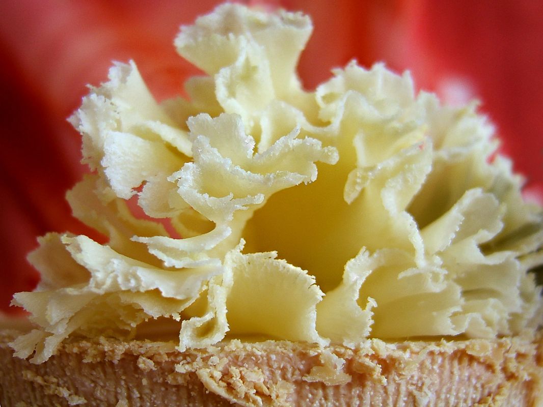 ������ ����������� ������ ������������ ���� ���� �� ����� �� �������� ����� ������ ����