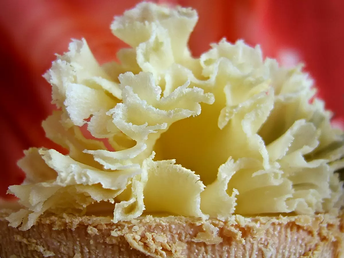 Найден белорусский аналог швейцарского сыра «Тет де Муан» по вчетверо более низкой цене