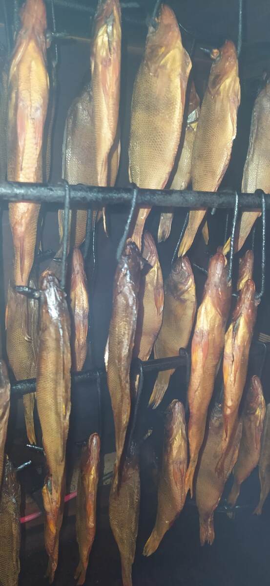 Холодное копчение окуня: кулинарный шедевр из речной рыбы