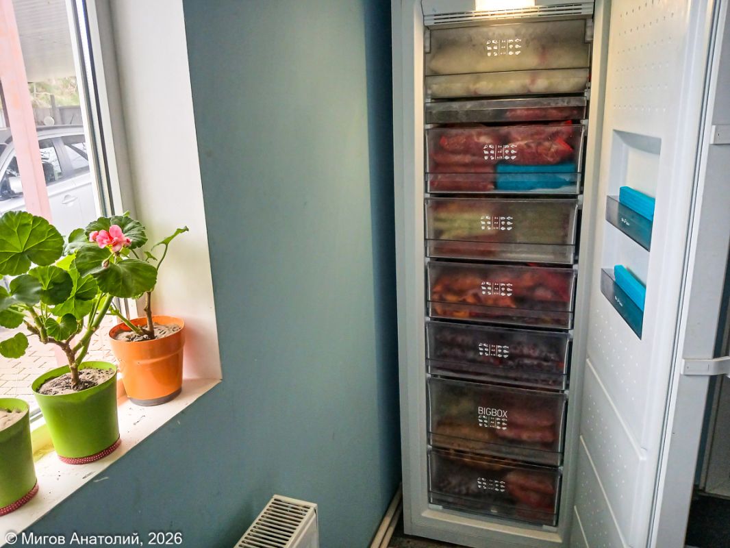 ������������ ������������: ��� ���������� ������ � ������ ���������