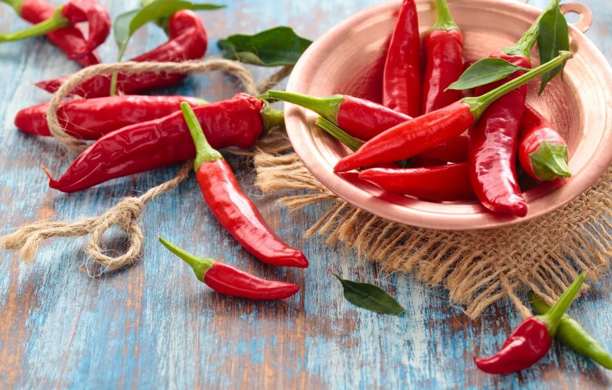 ������� ������������� ��-���������� ������ ����