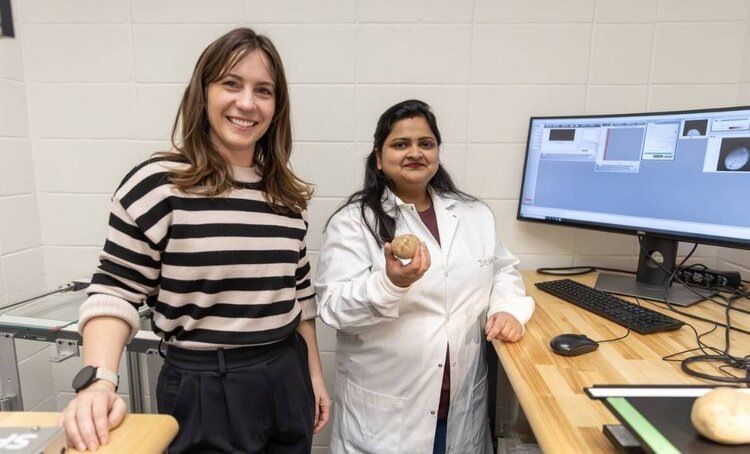 ������ ����������� ����� ��� �������� ����������� ���������