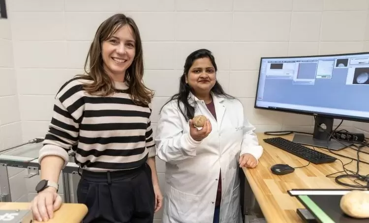 Ученые разработали метод для проверки токсичности картофеля