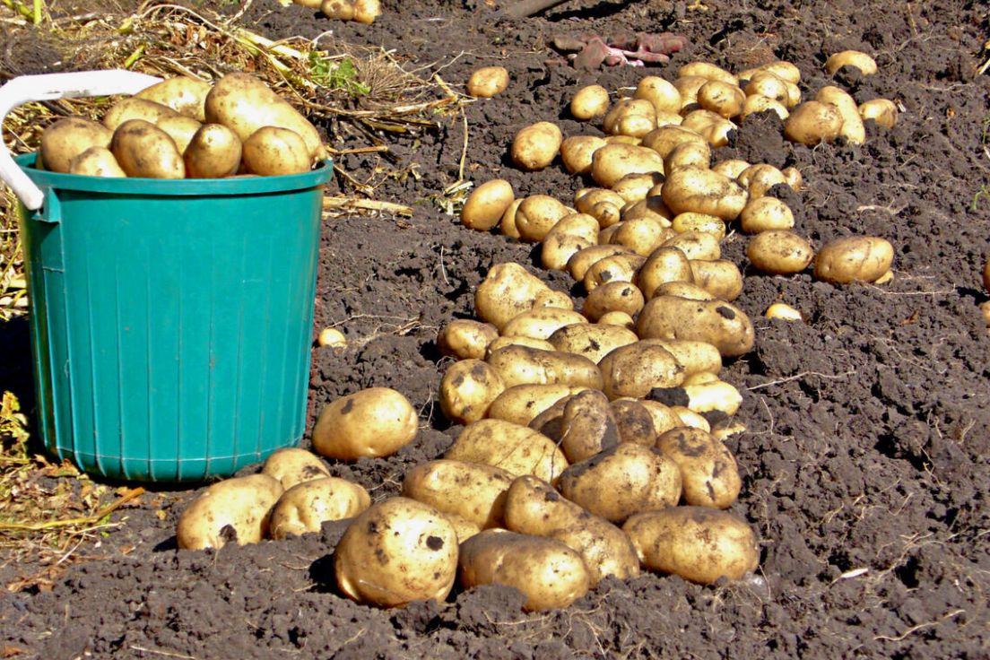 ��� ��������� ���������� ����� ��� ����� ���������: ������������ � ������