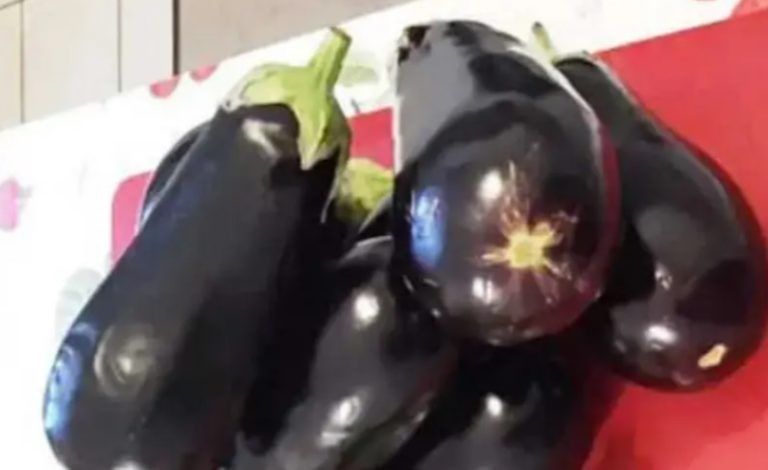 ���-3 ����� ���������� ��� �������� ������