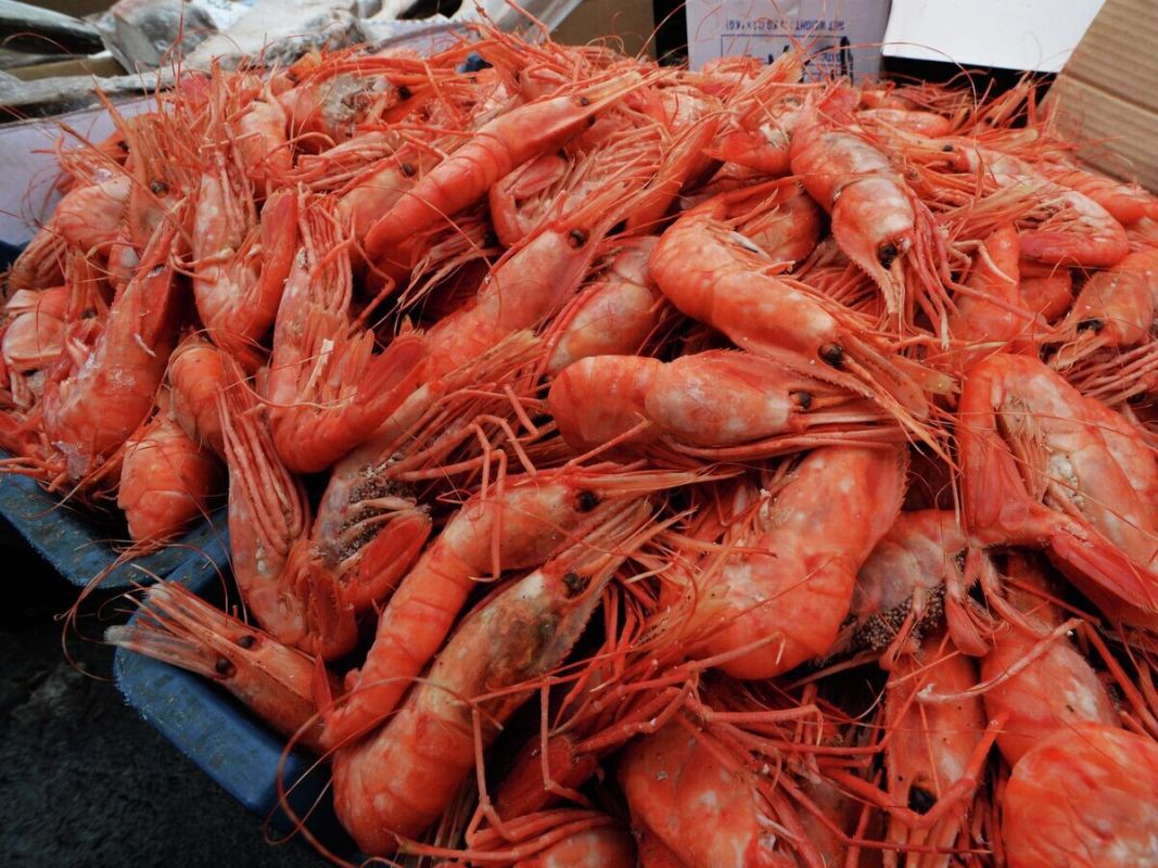 ��������: ����������� ��� ���������� ���������� � ��������