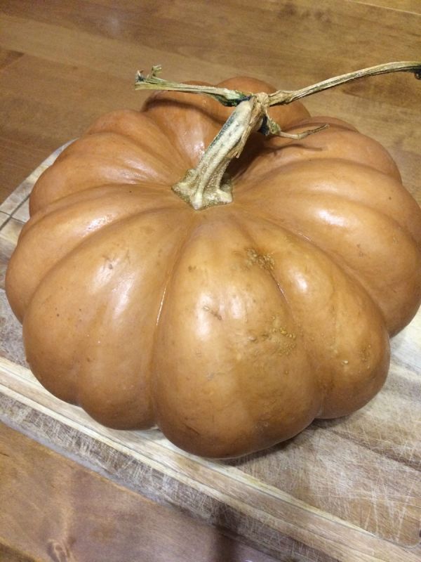 ����� �� ��������� �����