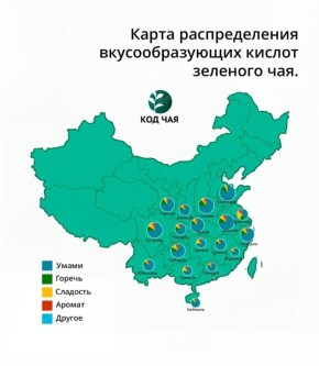 ������ �����������: ������� � �������� � ���� ���