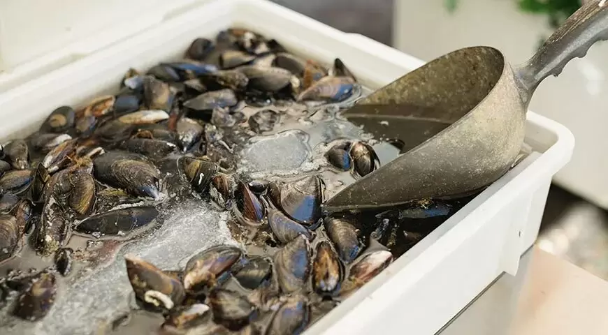 Как правильно чистить мидии