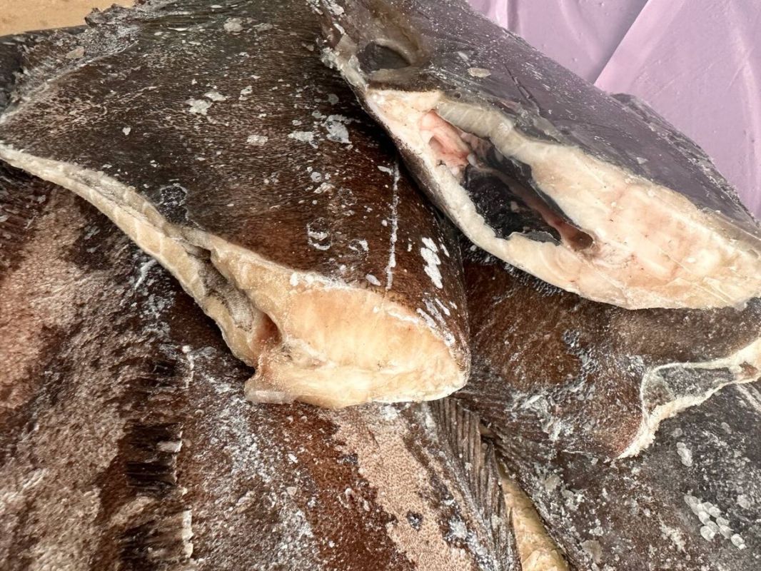 ������ ���������: ���������� ����� ��� ��������