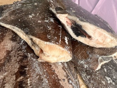 ������ ���������: ���������� ����� ��� ��������