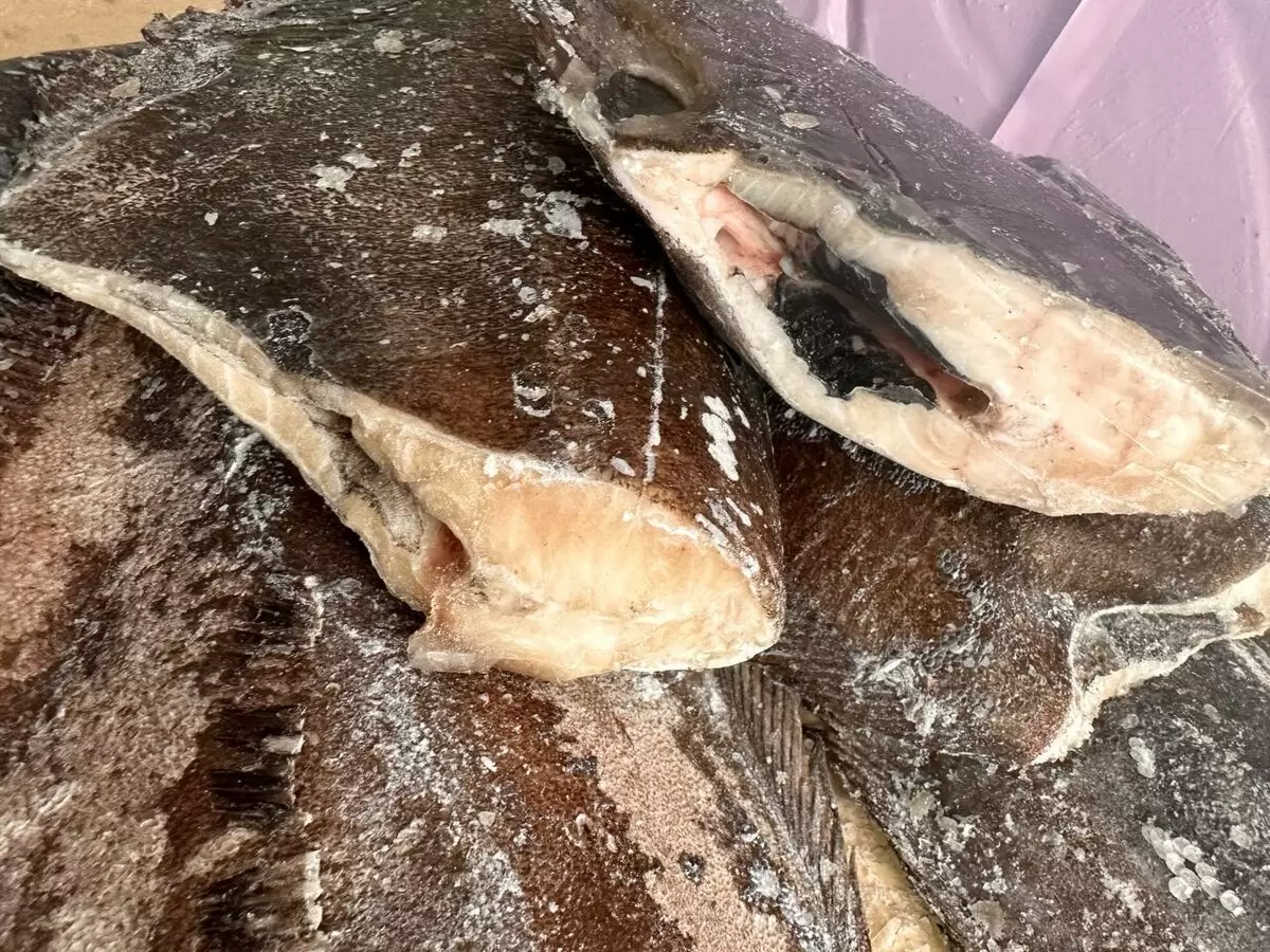 Палтус синекорый: Изысканный выбор для гурманов