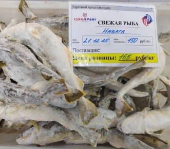 ������ �� ����������� ����: ��� � ����� ����� ������ ���� �� 165 ������ �� ���������