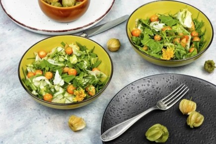 �������: ������������ ����� � ������������� ����������