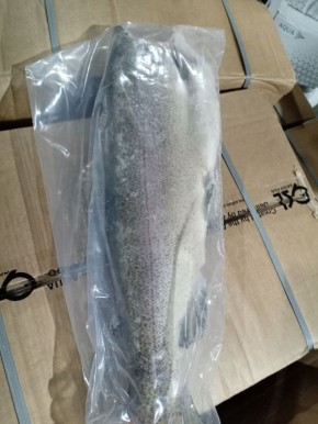 �������� ������: ������������ ����� ��� ��������