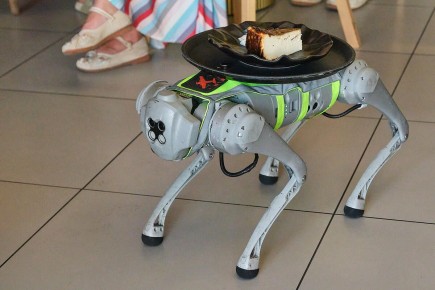 ������� � �������� � ���������: ����� ���������, ������� ��������