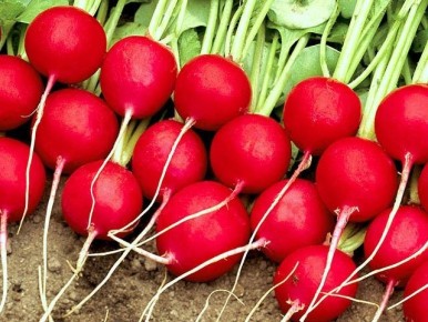 ����������� ������: 5 ������ ��� ������� �����