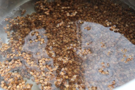 ������ � ��������: ������� � ����� ����� ��� ������ �����