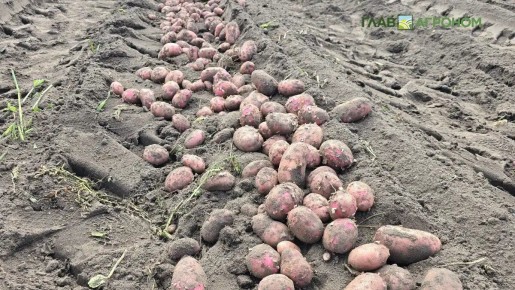 ��� �������� ������ ����� ��������� � ������ ��� ����� ��� ������������ �����