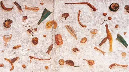 ����� ������������� ��������: ��� ������������ ������� � �������� ���� �������?