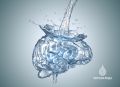 Как дефицит воды влияет на психическое здоровье: о связи обезвоживания и тревоги